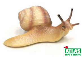 Obrázek produktu